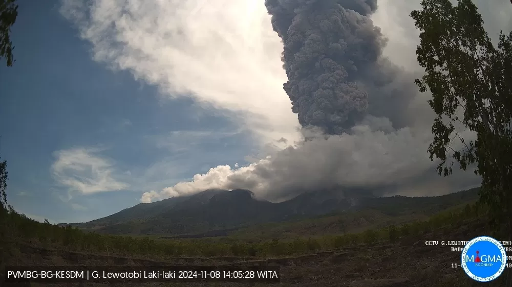 Status Gunung Lewotobi Naik Jadi Level IV, Masyarakat Diminta Waspada